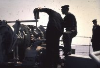 44