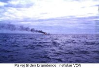 brandendelinefisker
